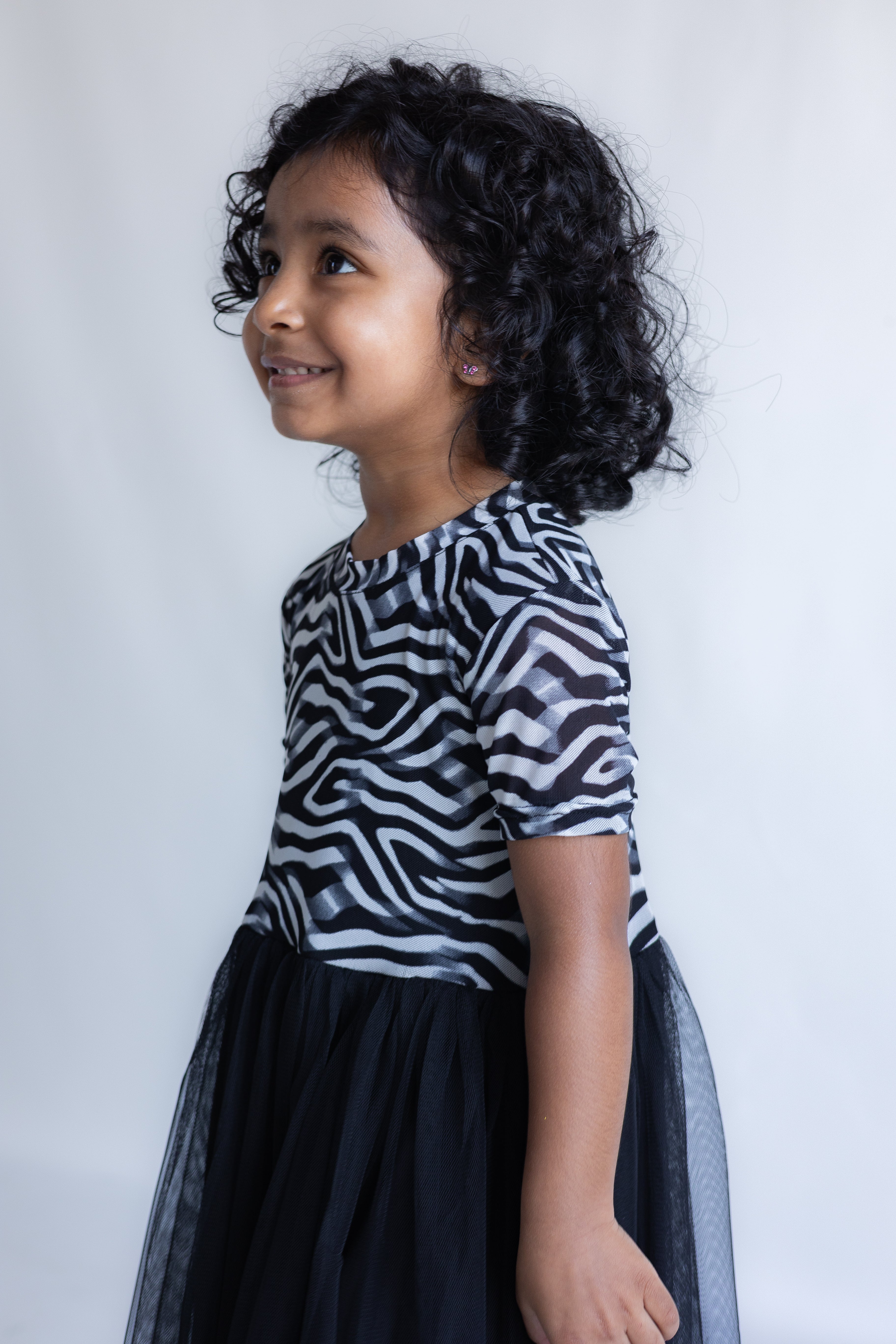 Zebra Twirl Dress