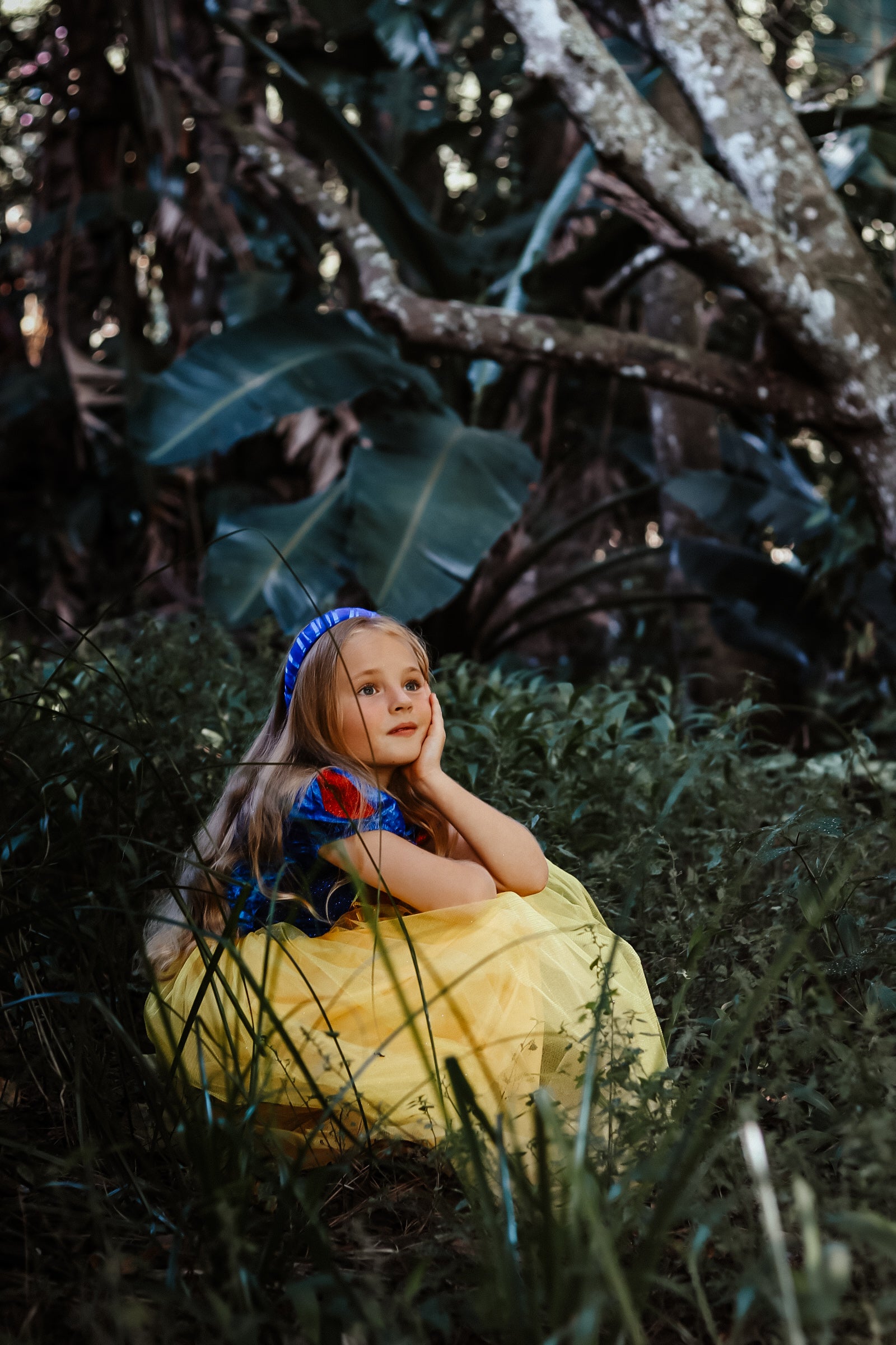 New Snow White Inspired Princess Dress
