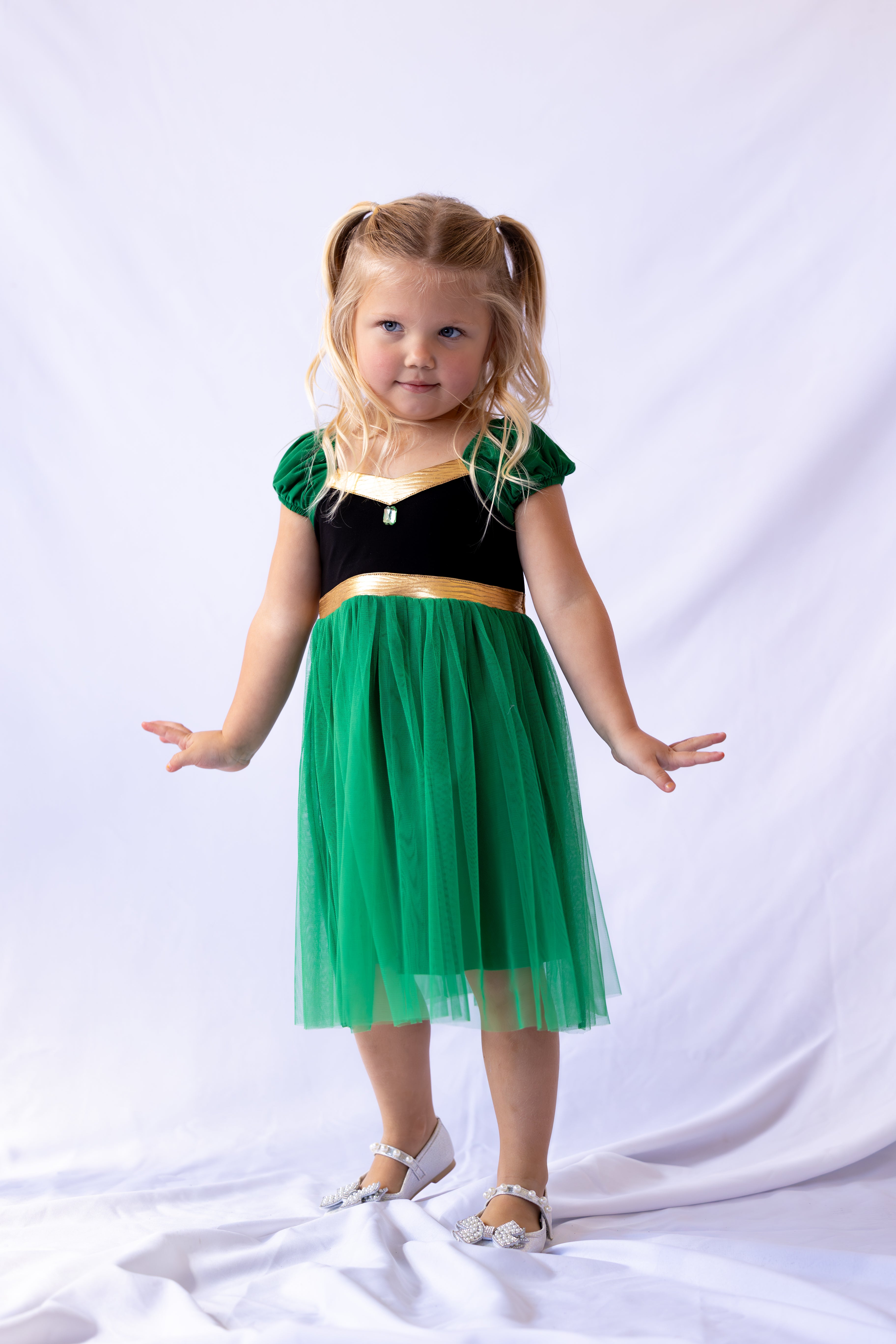 Anna Inspired Princess Twirl Dress