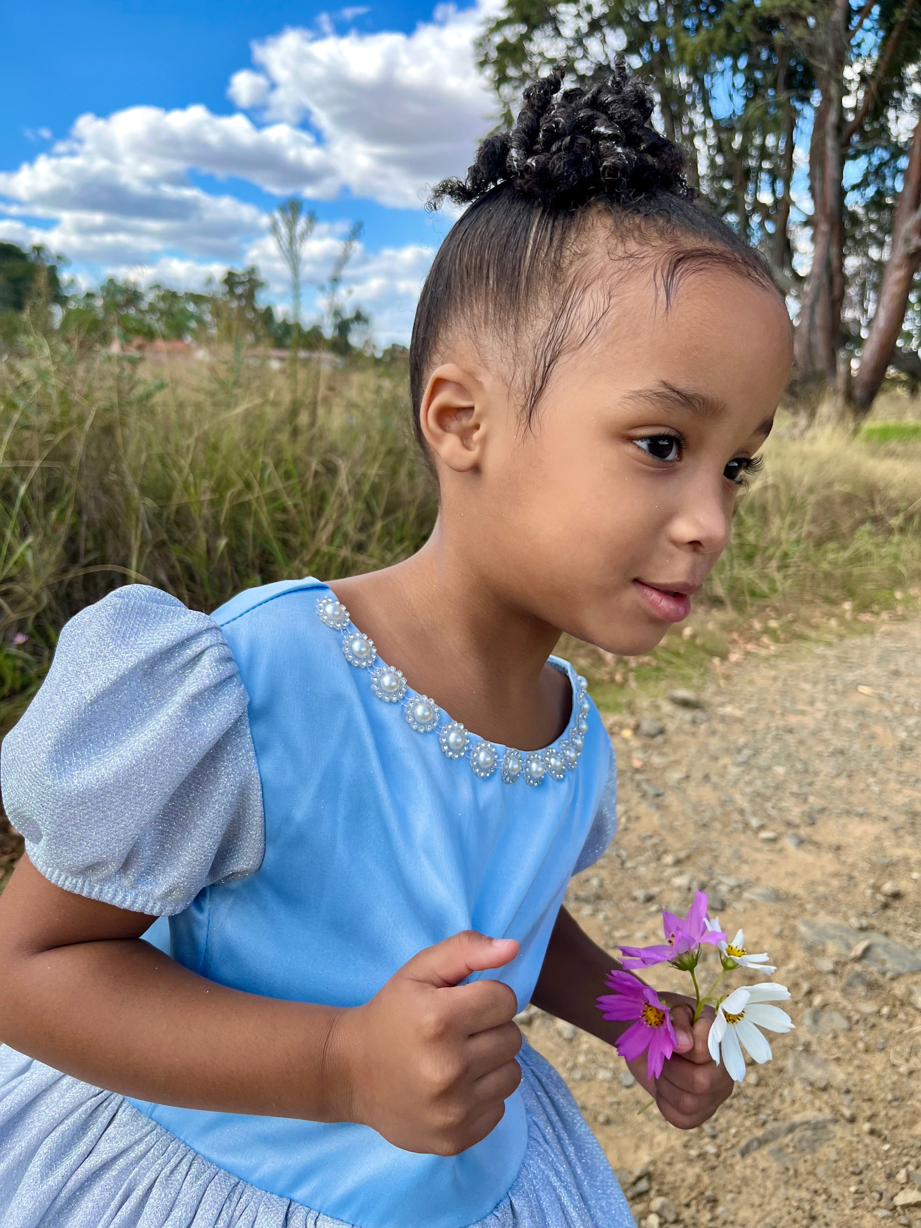 Cinderella Inspired Princess Dress (New)