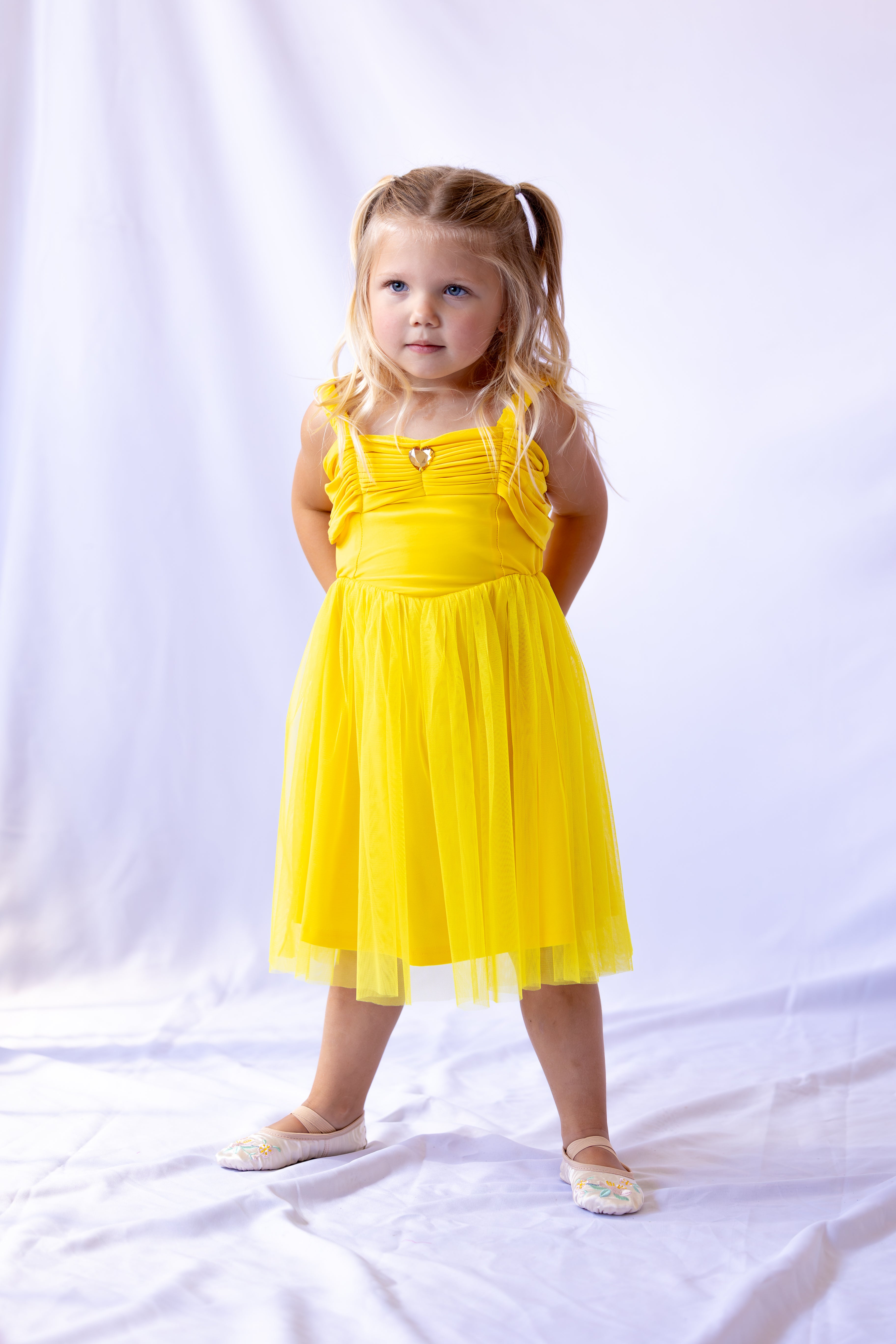 Belle Inspired Princess Twirl Dress
