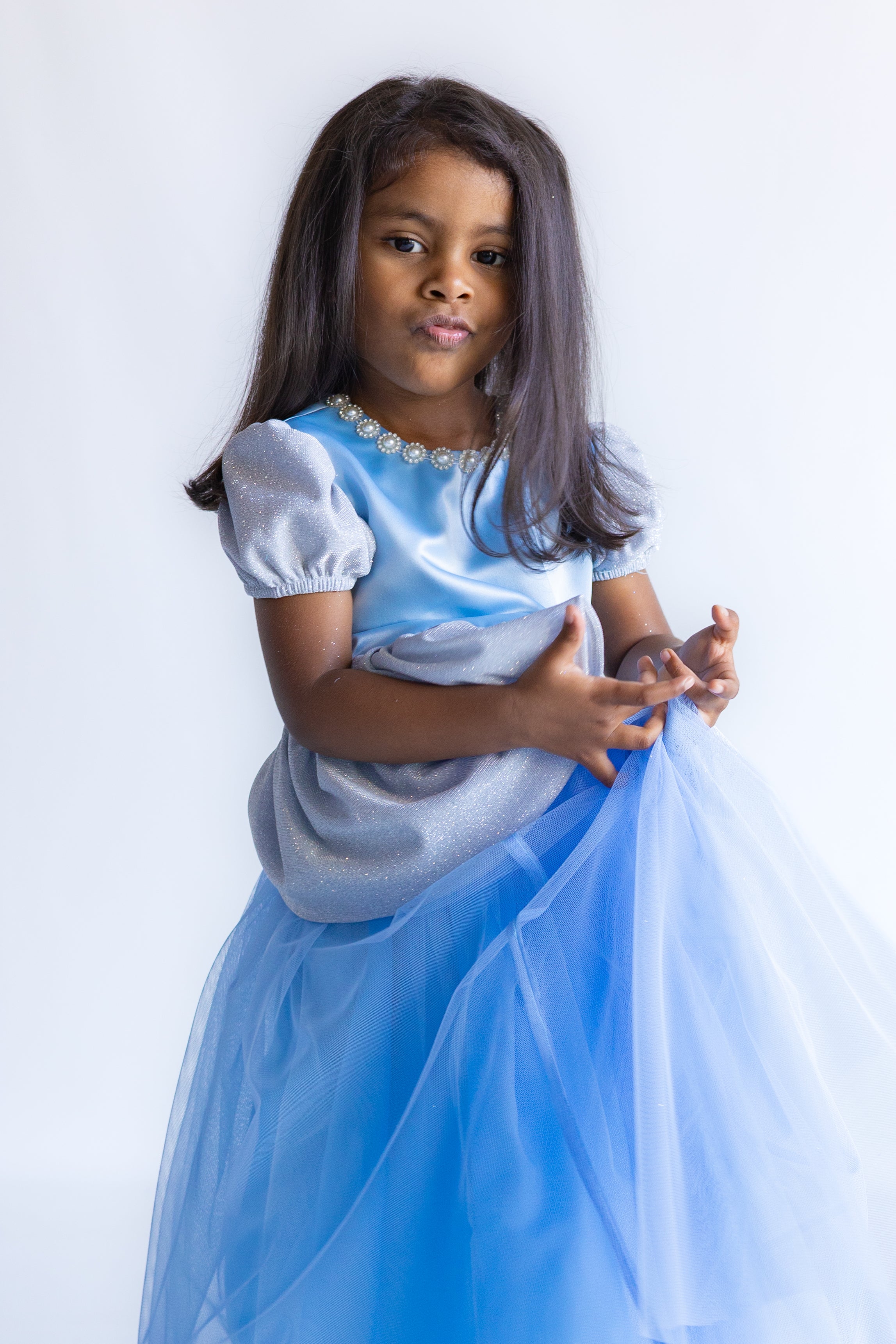 Cinderella Inspired Princess Dress (New)