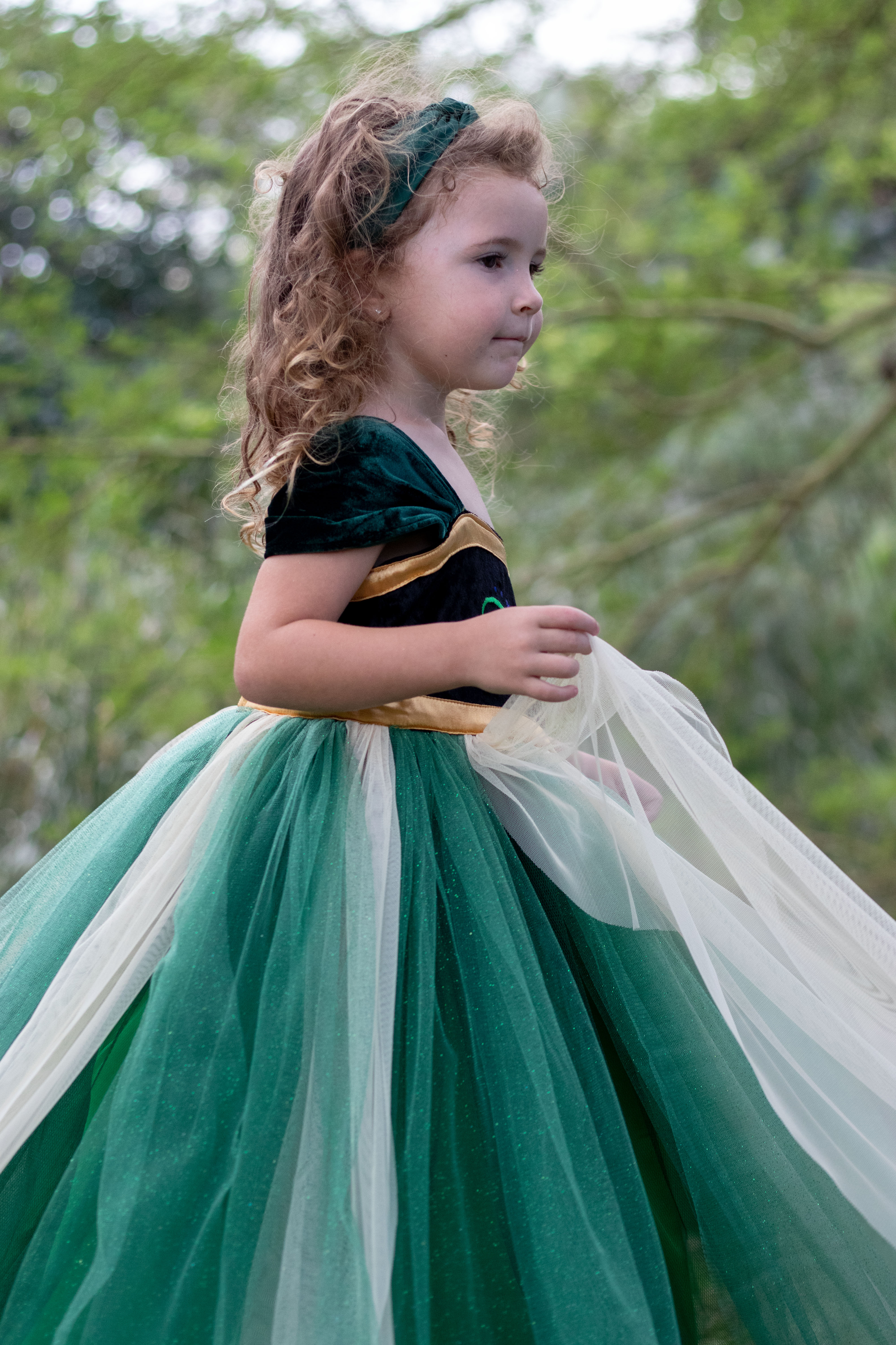 Anna Inspired Princess Dress (New)