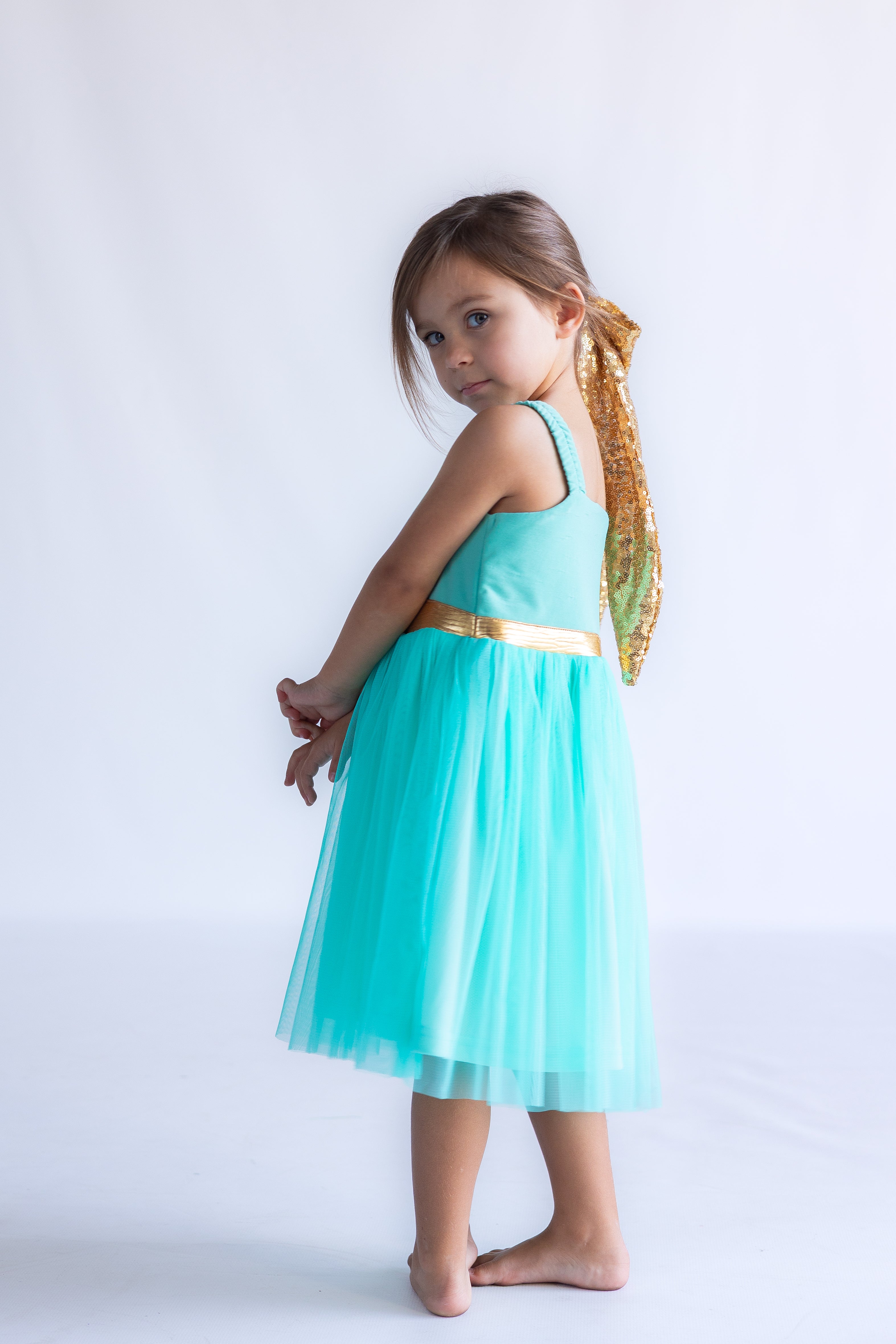 Jasmine Inspired Princess Twirl Dress