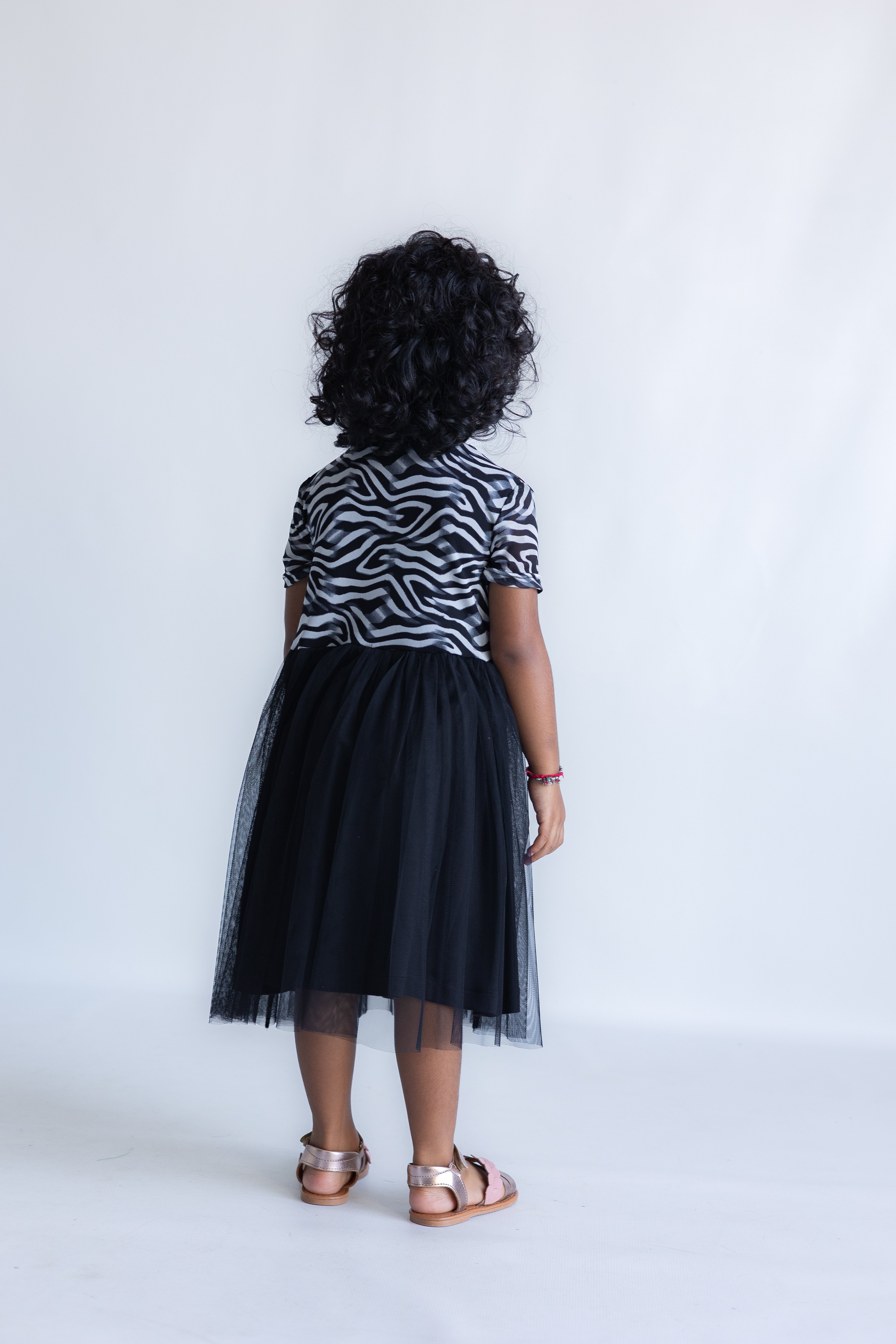 Zebra Twirl Dress
