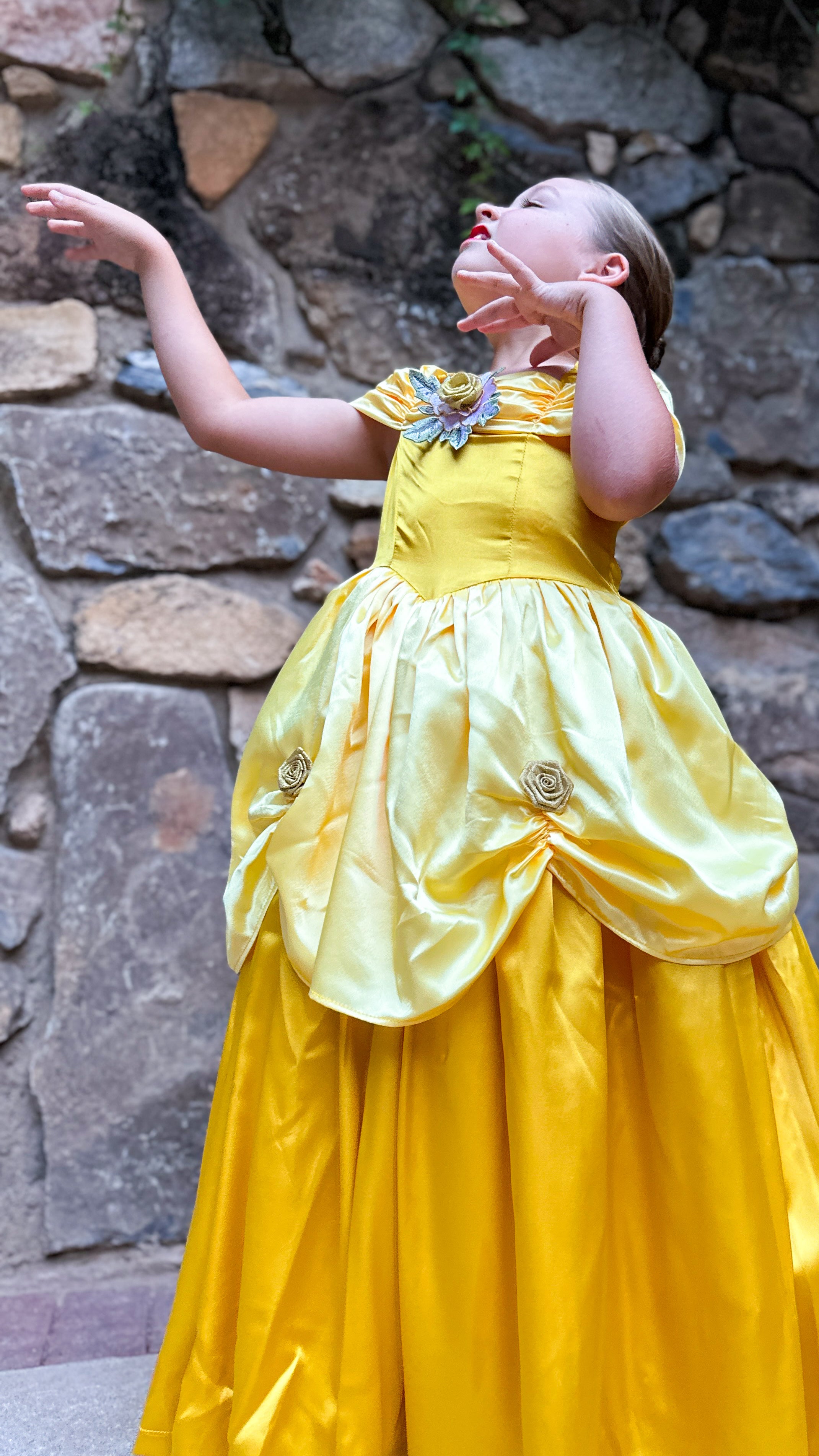 New Belle Inspired Princess Dress