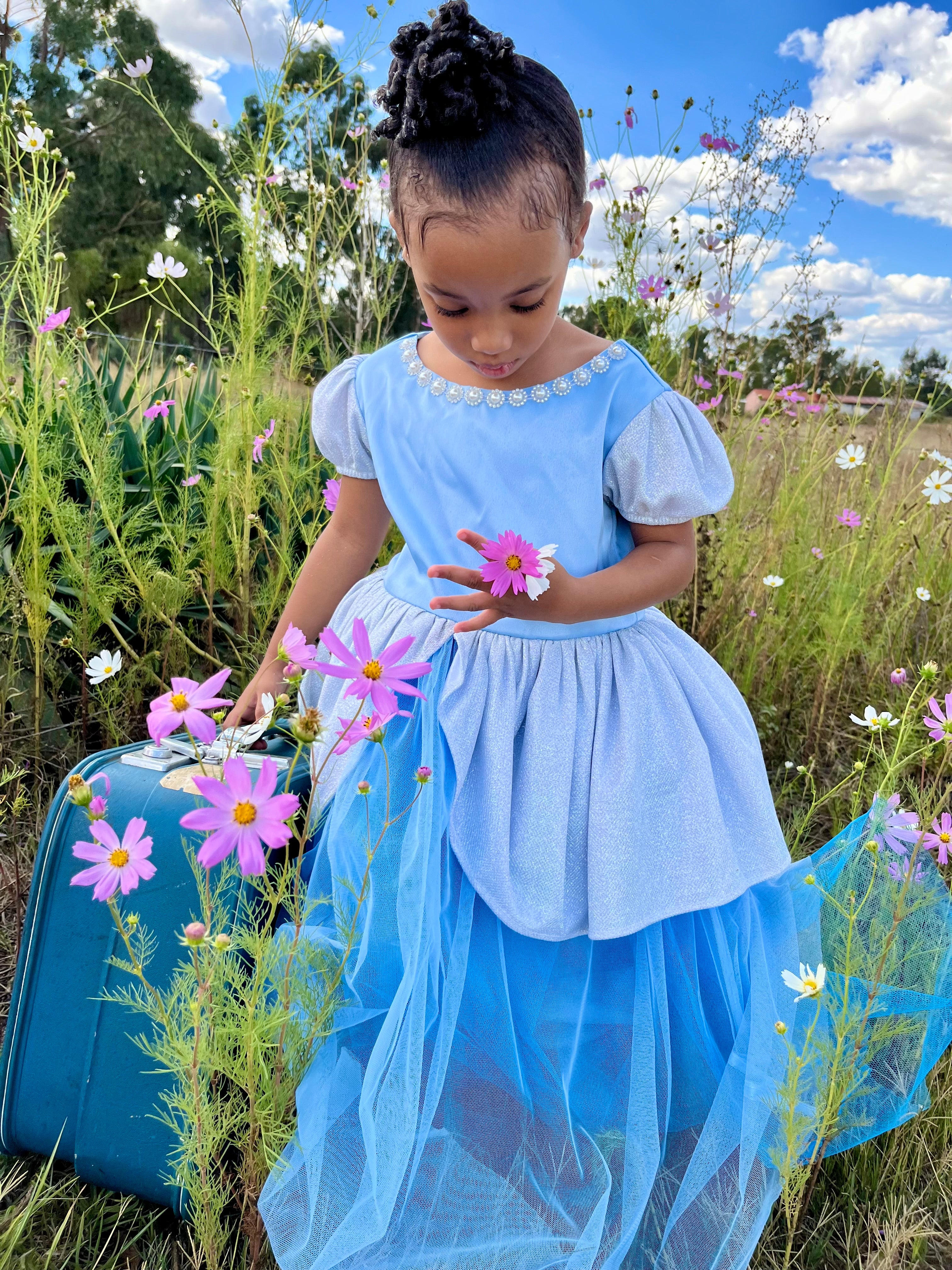 Cinderella Inspired Princess Dress (New)