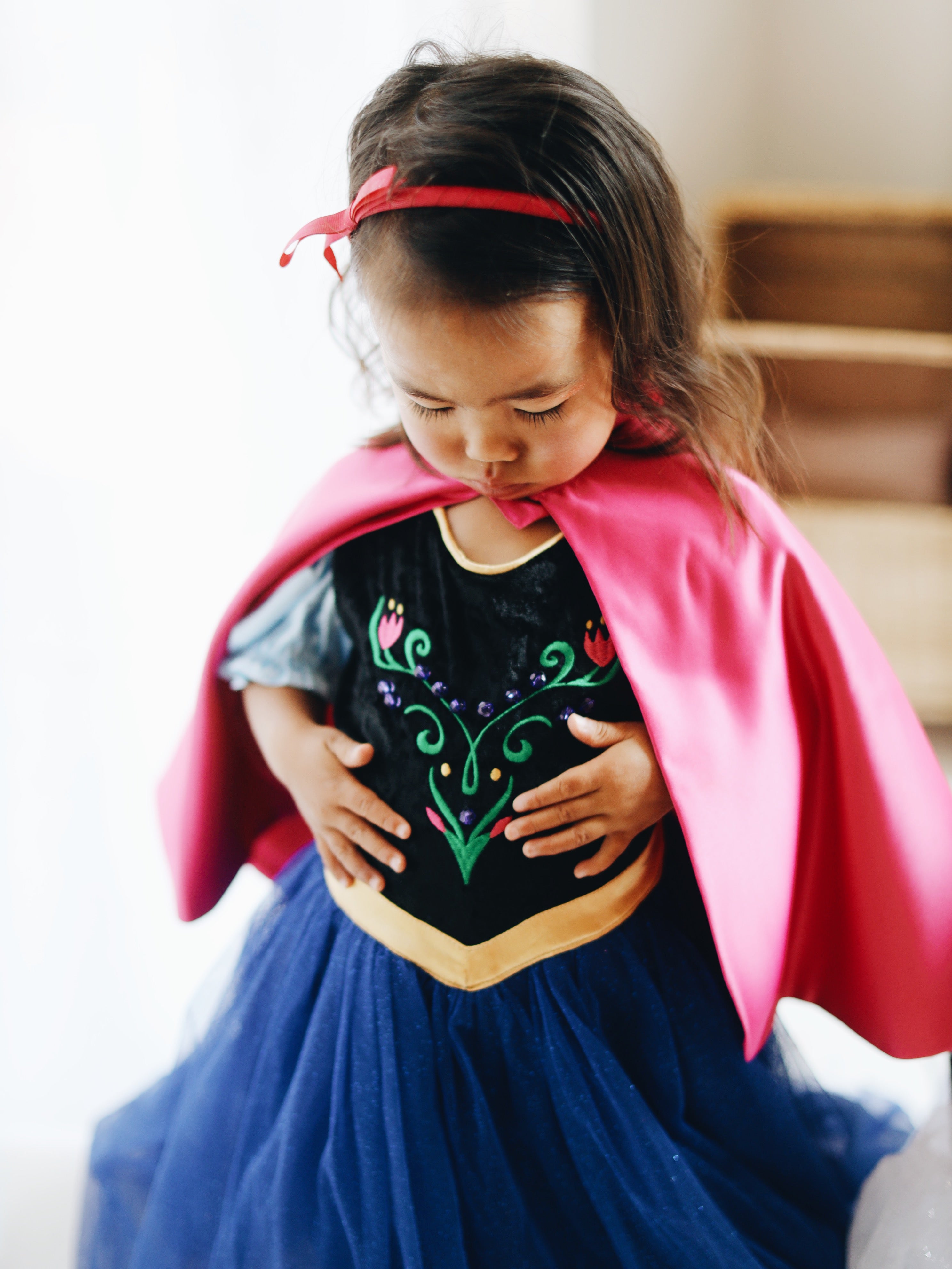 Anna (Blue) Inspired Princess Dress (New)