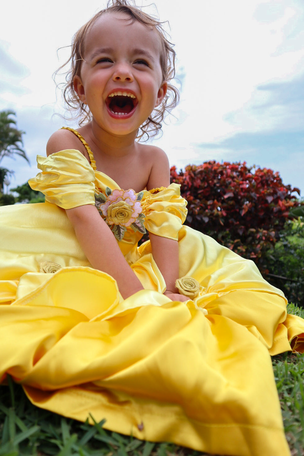 New Belle Inspired Princess Dress