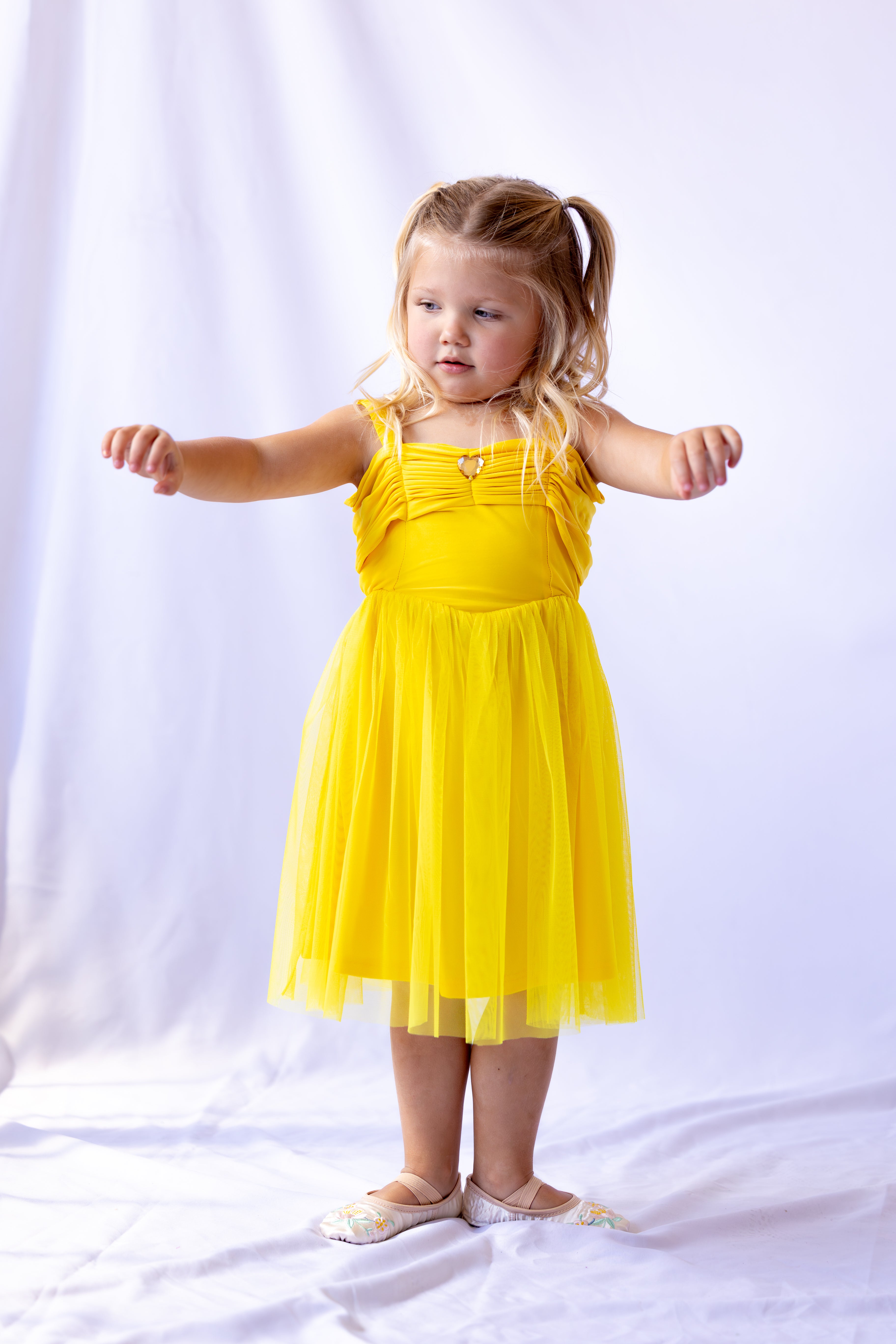 Belle Inspired Princess Twirl Dress