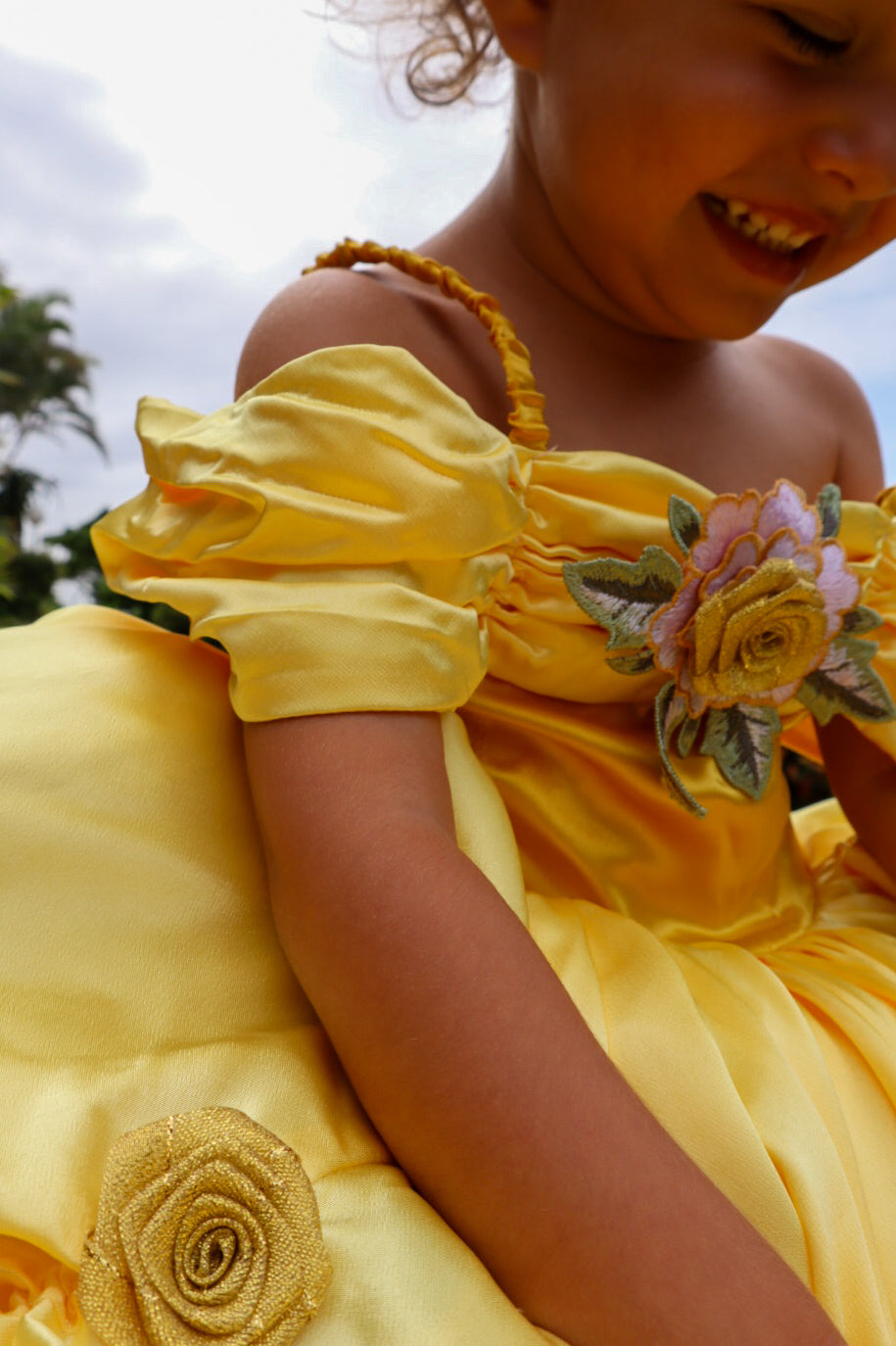 New Belle Inspired Princess Dress