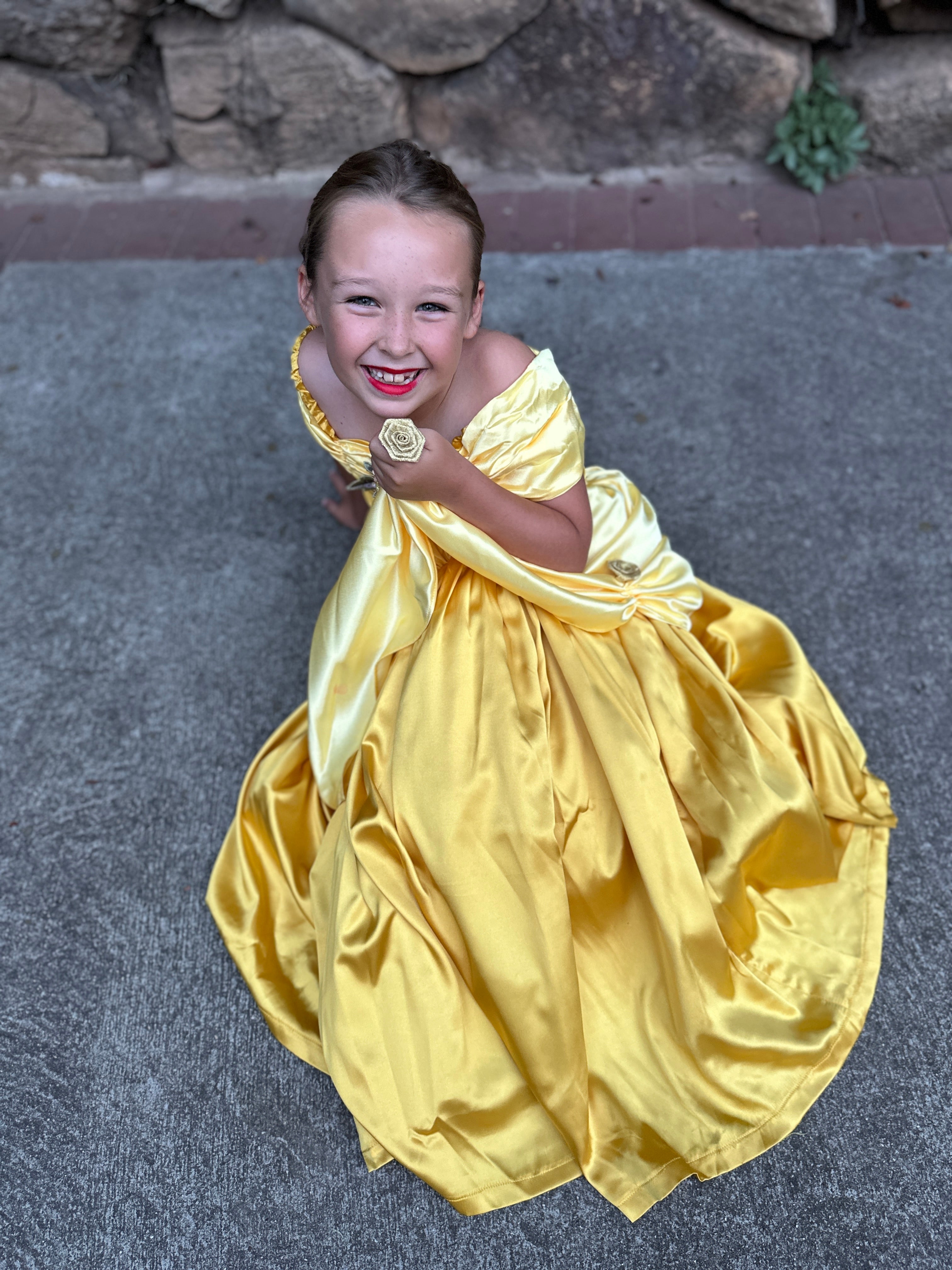 New Belle Inspired Princess Dress
