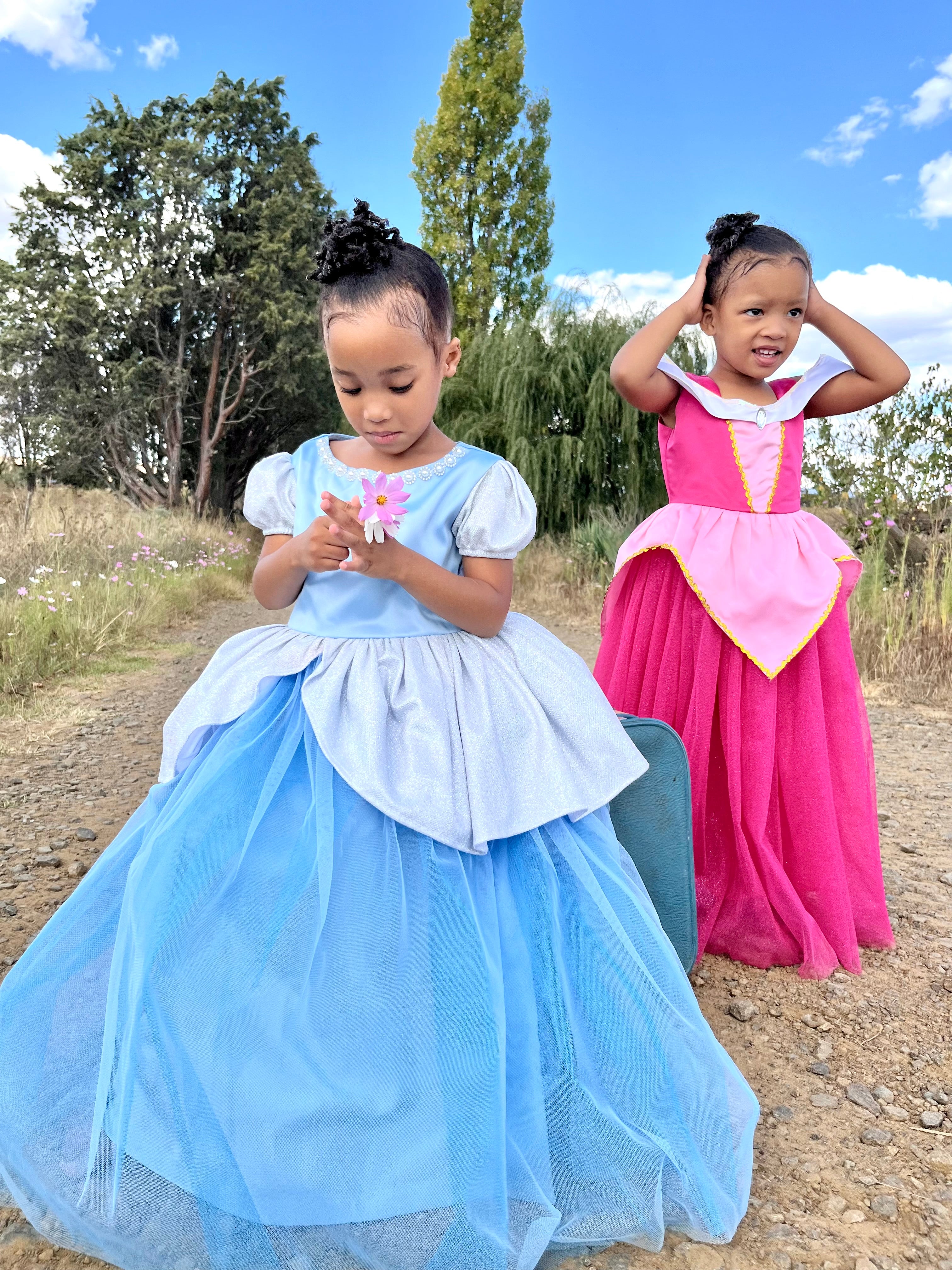 Aurora Inspired Princess Dress (New)