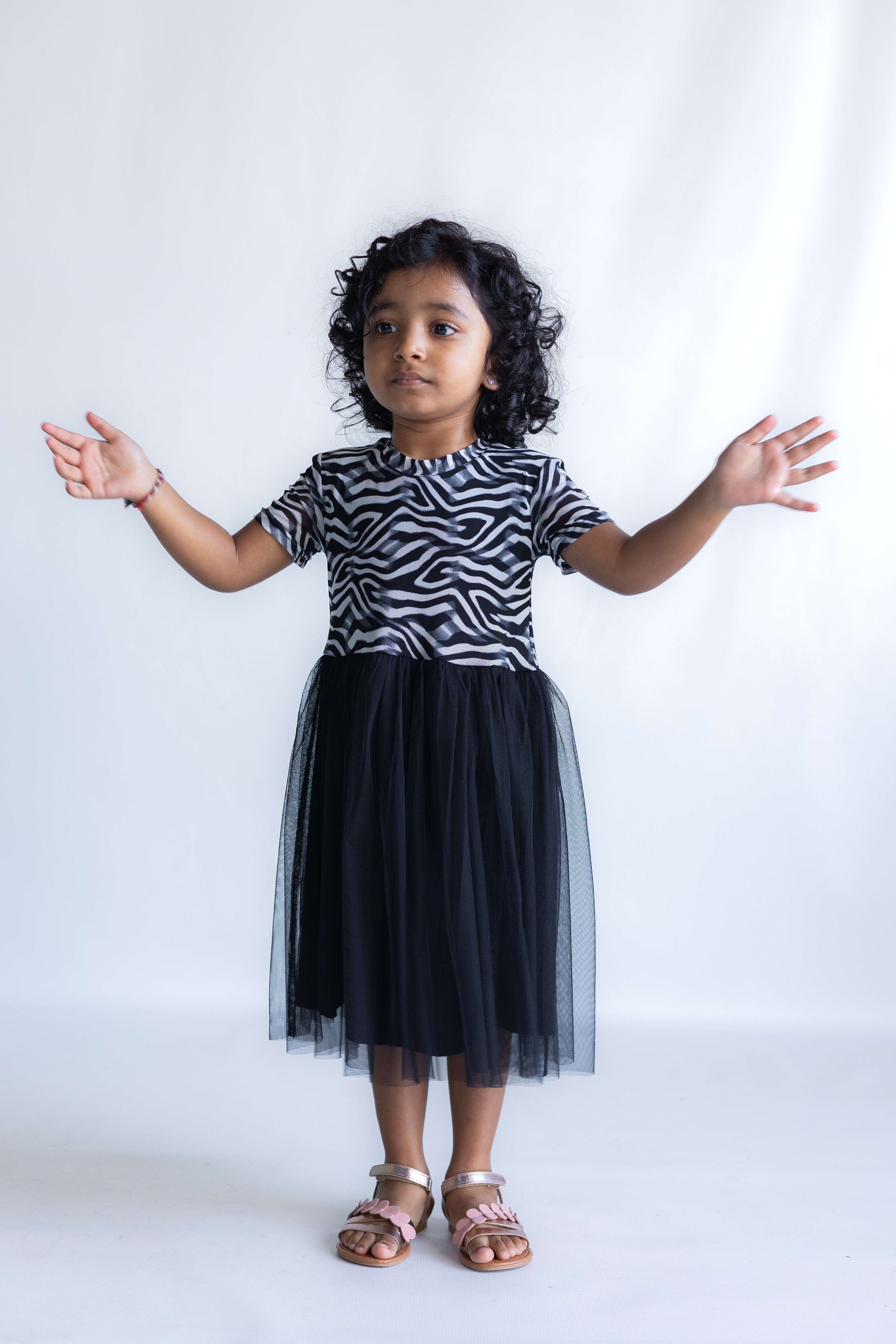 Zebra Twirl Dress