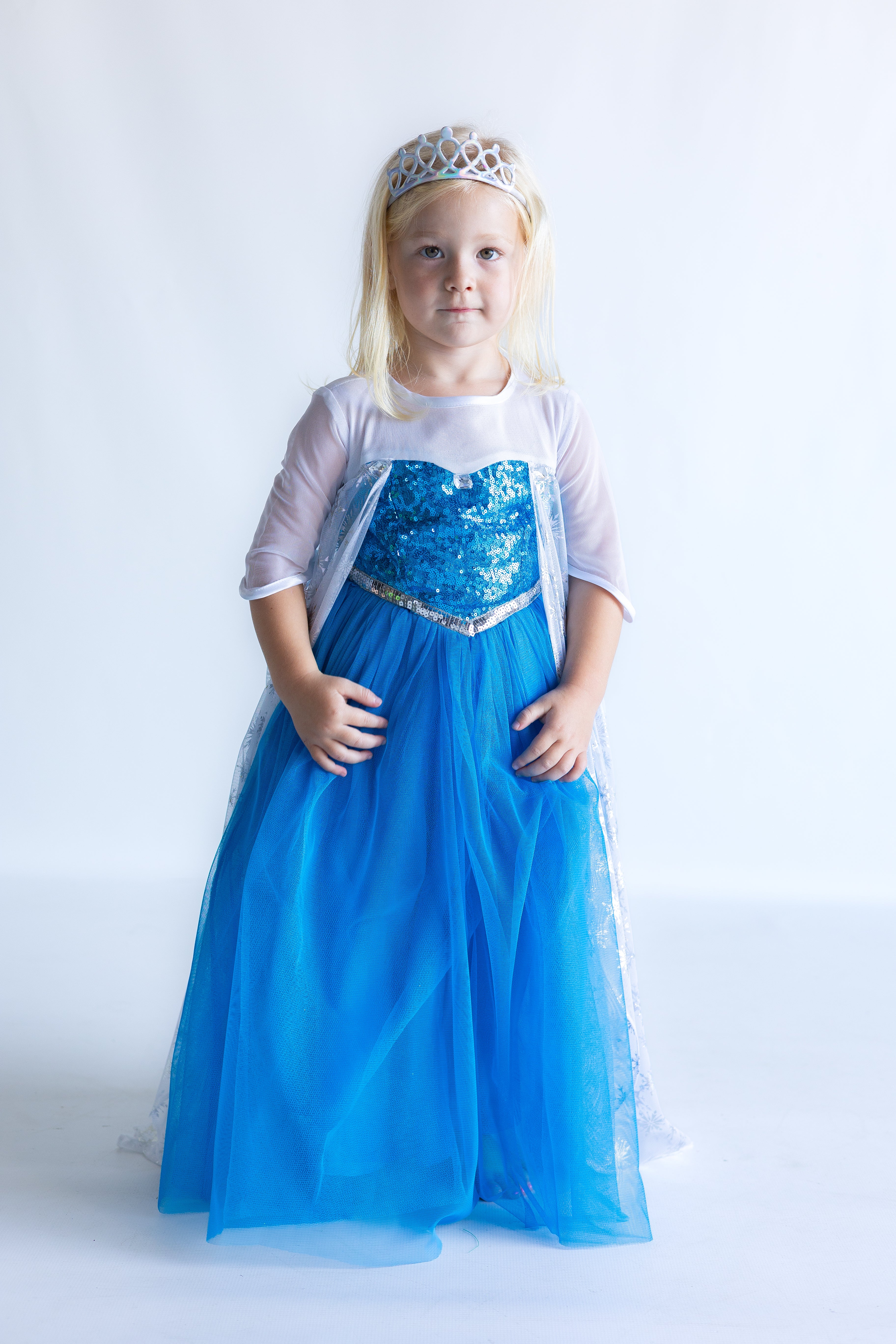 Elsa Inspired Princess Dress (New)