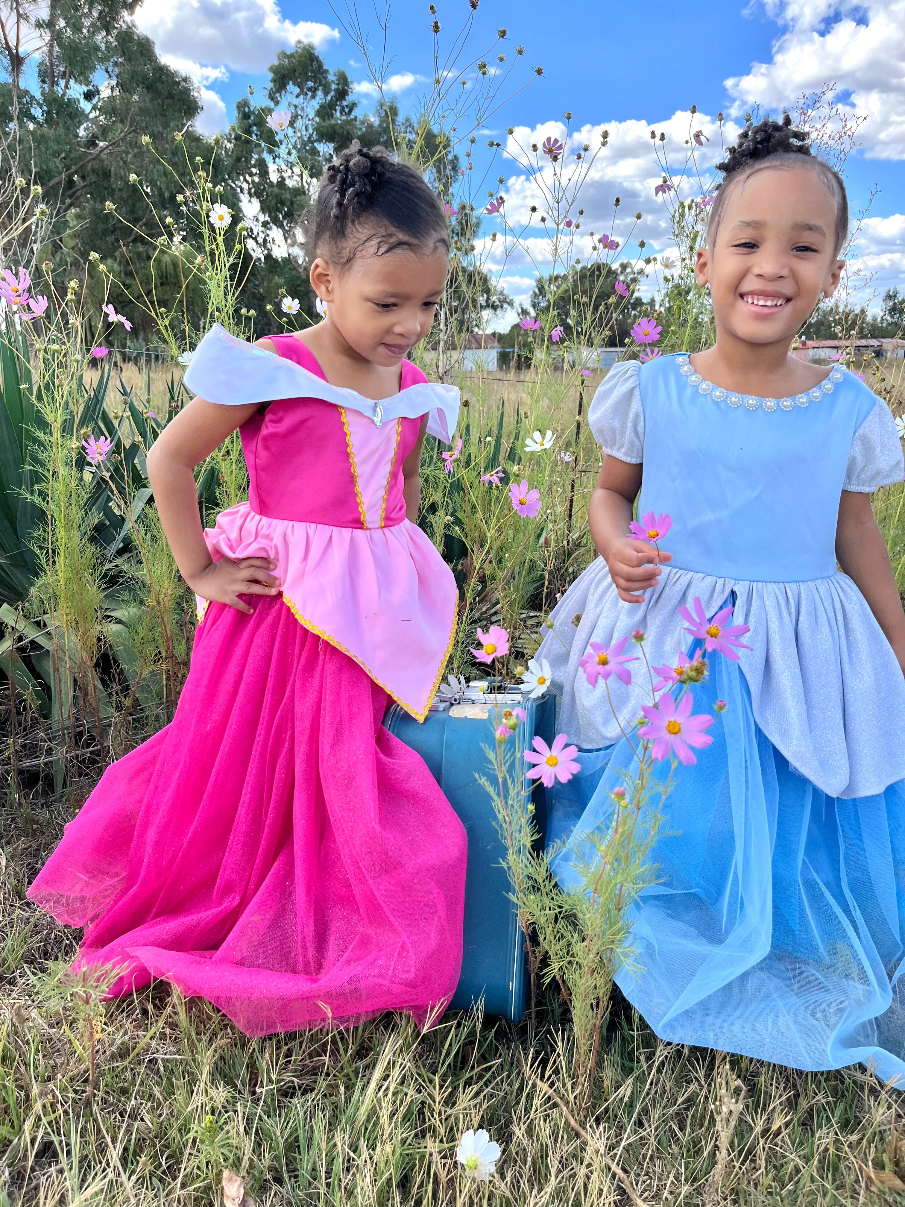 Aurora Inspired Princess Dress (New)