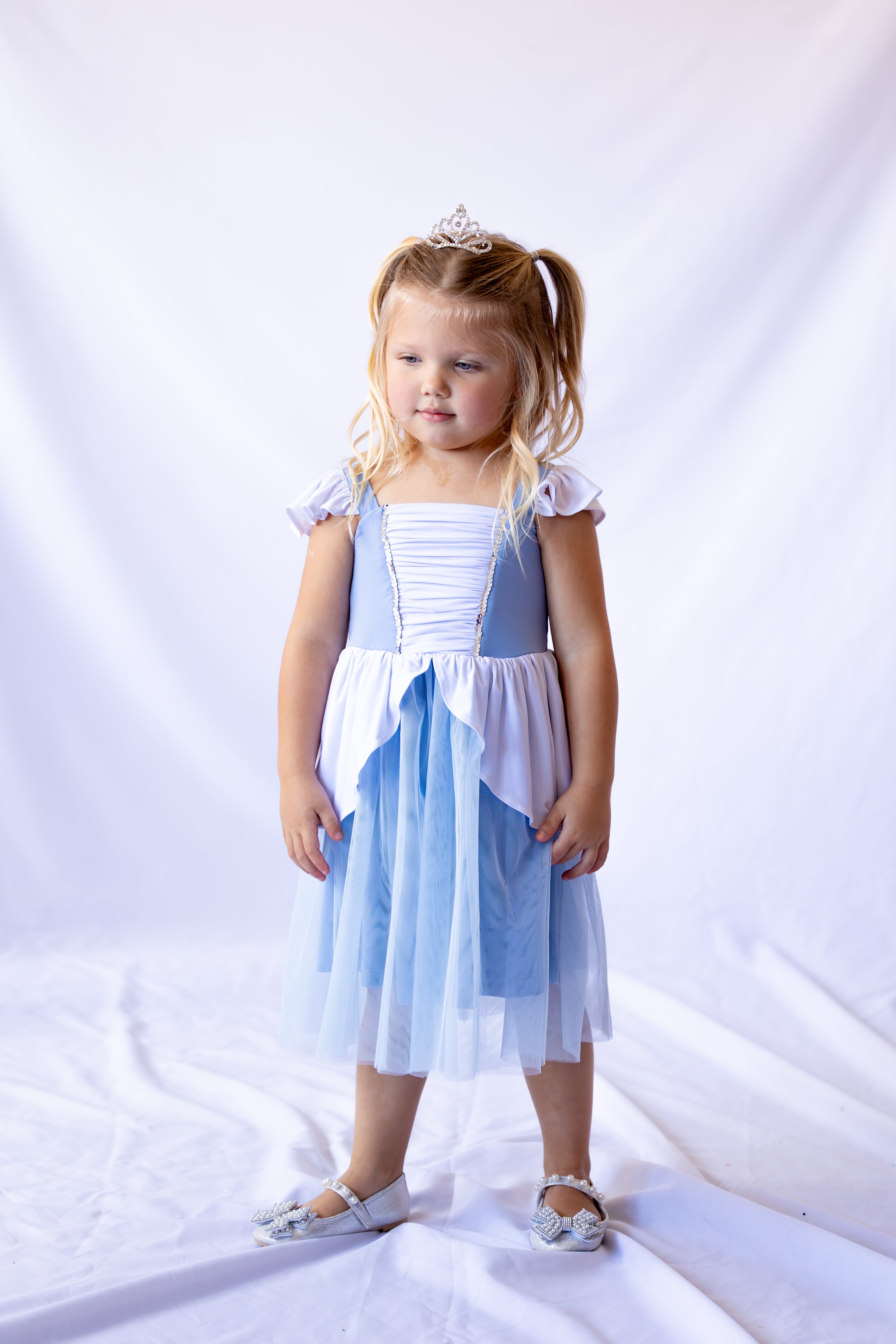 Cinderella Inspired Princess Twirl Dress