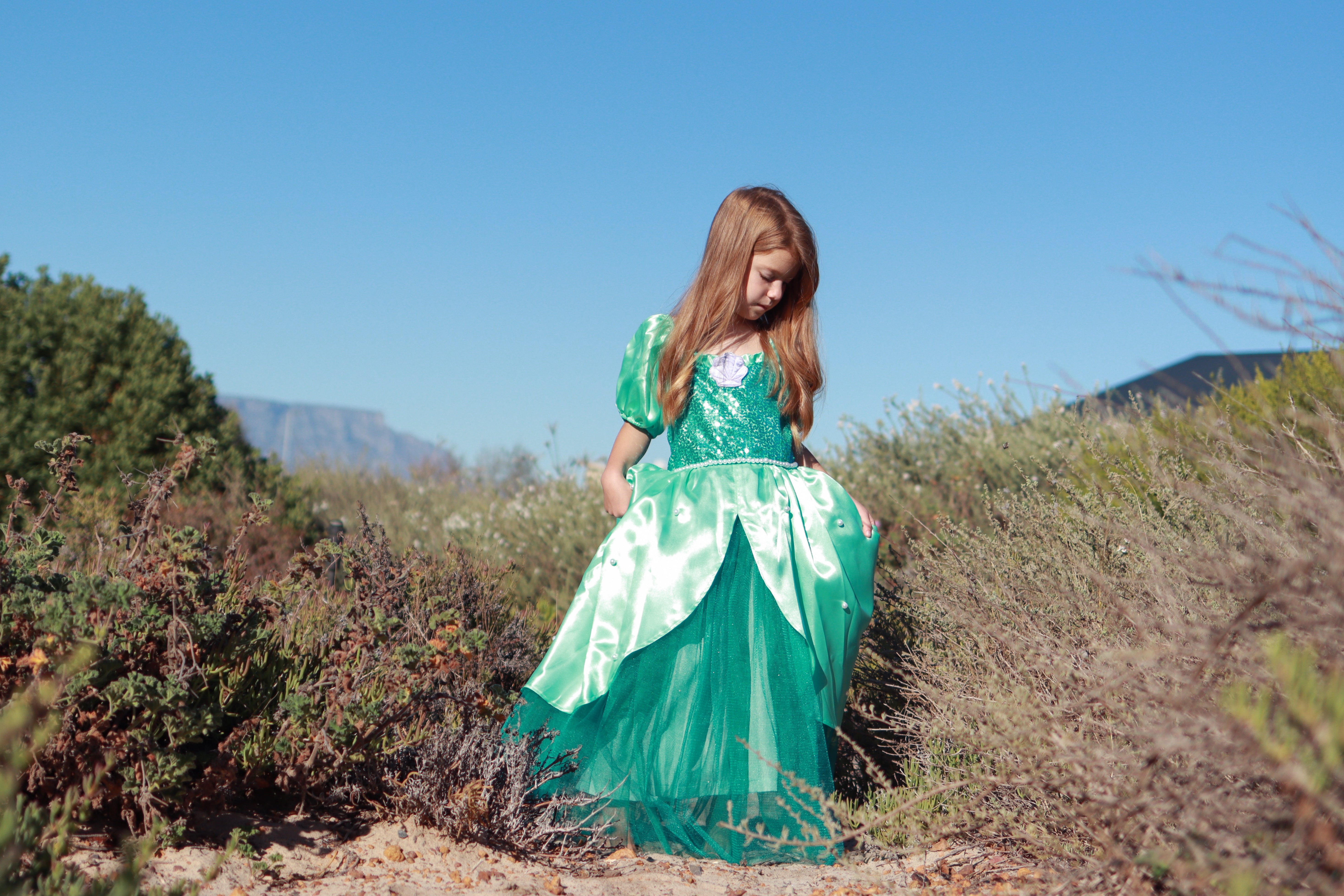 Ariel Inspired Princess Dress