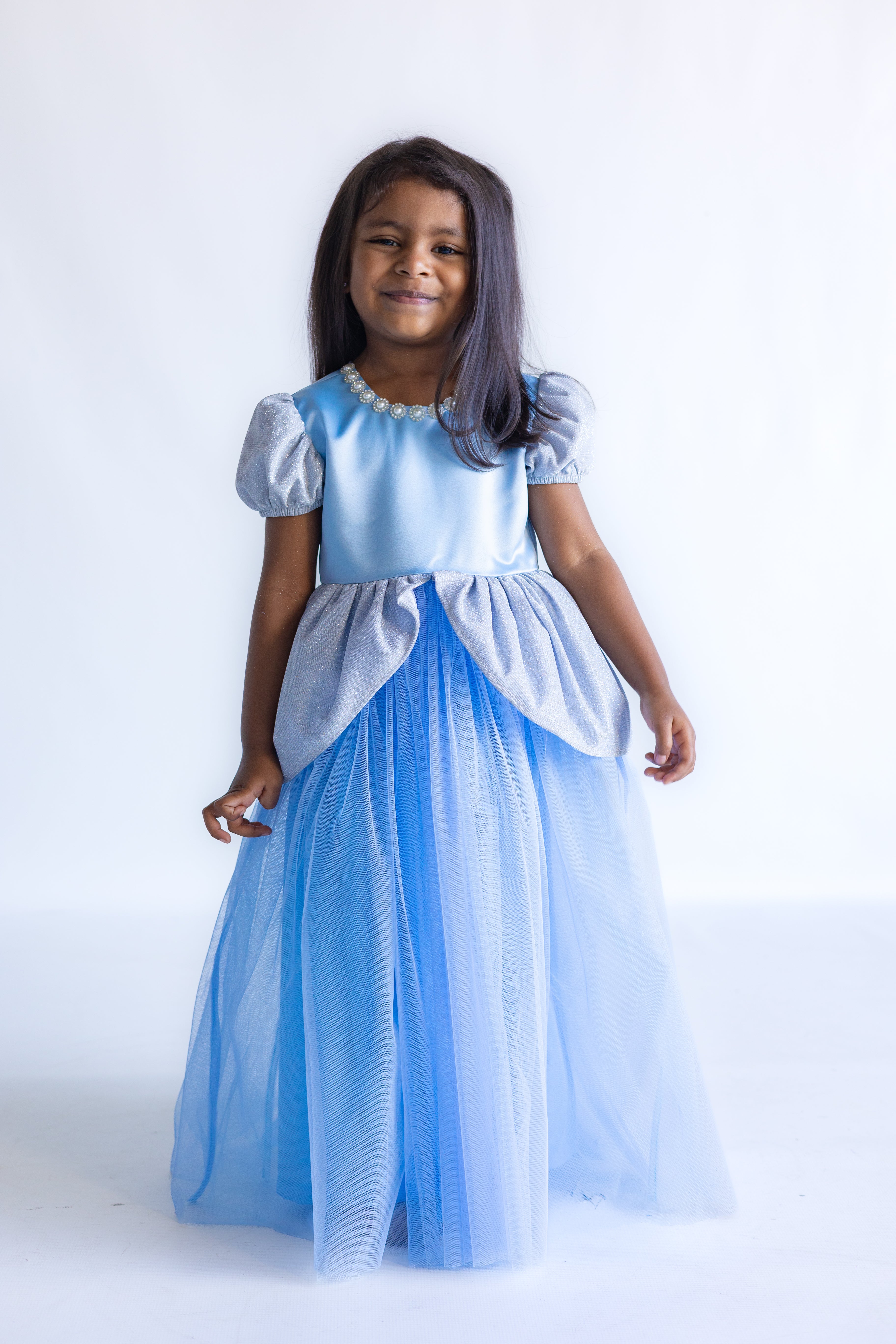 Cinderella Inspired Princess Dress (New)