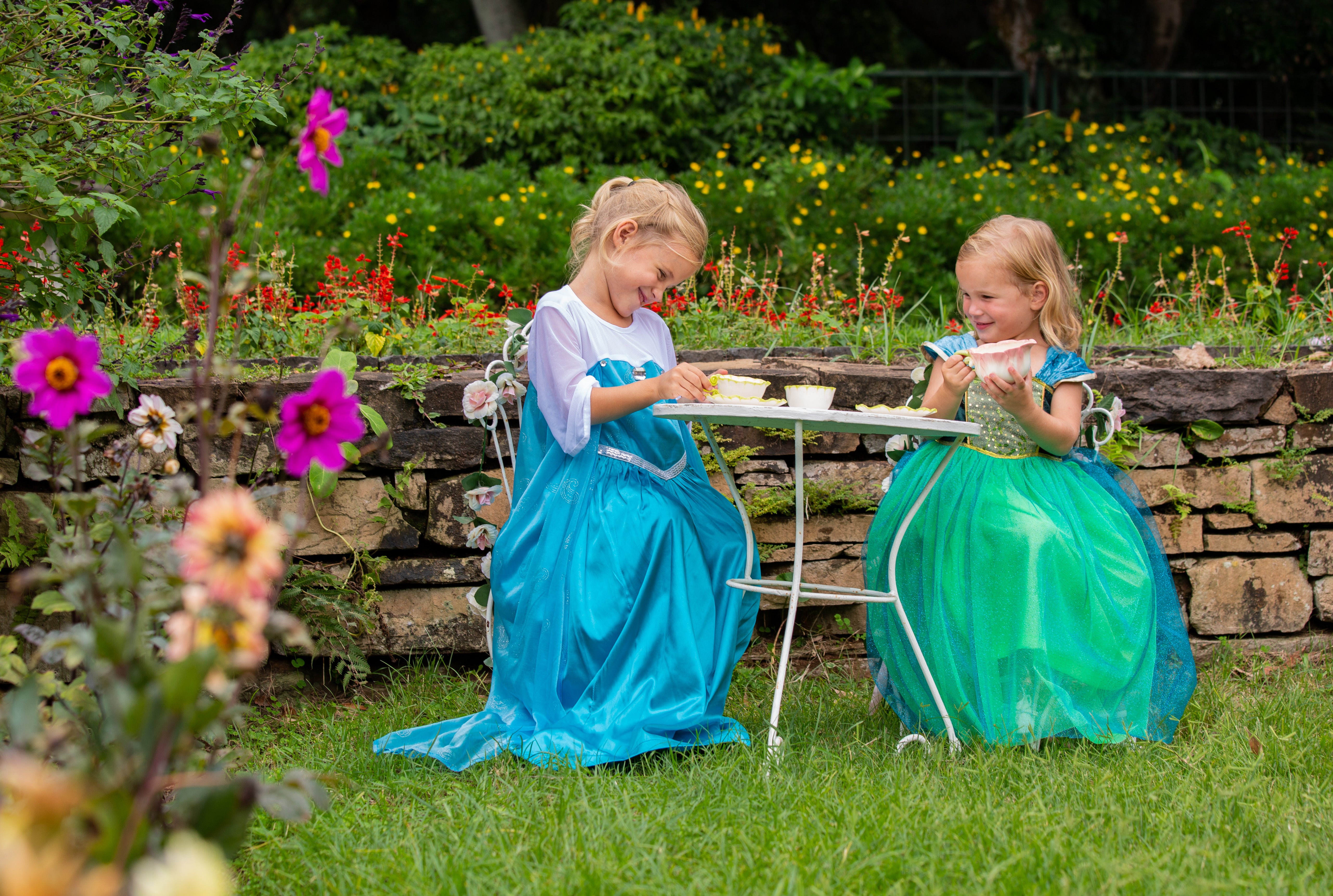 Anna Inspired Princess Dress